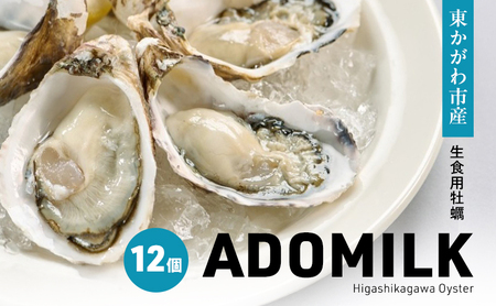 香川県東かがわ市産生食用牡蠣・ADOMILK 12個セット