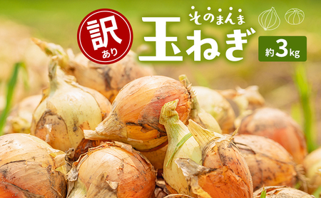 訳ありそのまんま玉ねぎ 約3kg