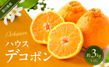 ハウスデコポン 約3kg デコポン でこぽん 柑橘 フルーツ 果物 くだもの 果実 旬の果物 旬のフルーツ 香川 香川県 東かがわ市