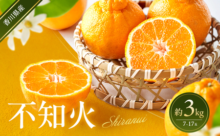 不知火 約3kg 蜜柑 みかん ミカン 柑橘 フルーツ 果物 くだもの 果実 旬の果物 旬のフルーツ 香川 香川県 東かがわ市