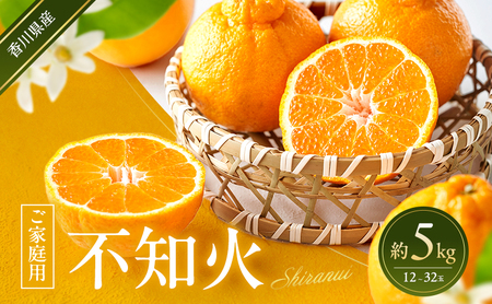 不知火 [ご家庭用] 約5kg 蜜柑 みかん ミカン 柑橘 フルーツ 果物 くだもの 果実 旬の果物 旬のフルーツ 香川 香川県 東かがわ市