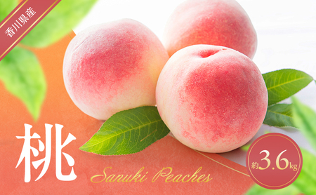 桃 約3.6kg もも モモ フルーツ 果物 くだもの 果実 旬の果物 旬のフルーツ 香川 香川県 東かがわ市