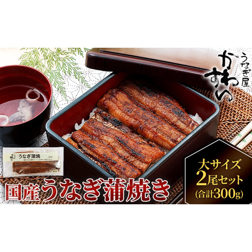 国産うなぎ  蒲焼き 大サイズ 2尾セット(合計300g) タレ付き 国産 うなぎ ウナギ 鰻 蒲焼 かば焼き 2尾 セット 惣菜 冷凍