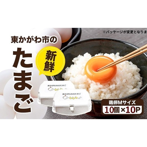 東かがわ市のたまご「鶏卵Mサイズ(10個×10P)」割れ保障1p含む たまご 卵 鶏卵
