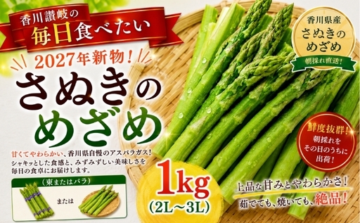 香川讃岐の毎日食べたい「2027年新物!さぬきのめざめ 1kg(2L〜3L)」