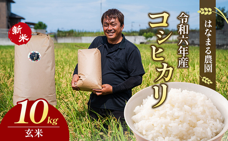 はなまる農園令和6年新米香川県産「コシヒカリ(玄米)10kg」