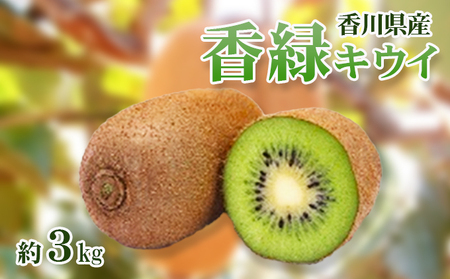  (傭) LEC3kg LECt[c t[c ʕ  ʎ {̉ʕ {̃t[c  쌧 s