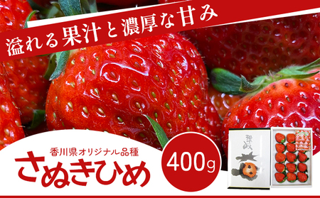 いちご 香川県オリジナル品種 さぬきひめ 400g 香川県産 化粧箱 年内受付 苺 イチゴ フルーツ 果物 くだもの 旬のフルーツ 旬の果物 大粒 採れたて 冷蔵 香川 香川県 東かがわ市