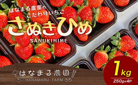  ͂Ȃ܂_ 肢 ʂЂ 1kg 쌧Y  C`S t[c ʕ  {̃t[c {̉ʕ  쌧 s