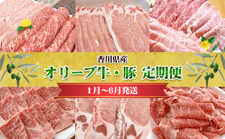 香川県産 オリーブ牛、豚 1kg 定期便(1月〜6月) お肉 すき焼き用 しゃぶしゃぶ用 焼肉用 とんかつ用 切り落とし