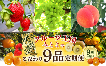 フルーツ 定期便 旬 果物 フルーツ王国みとよの特選こだわり9品_M02-0131-R