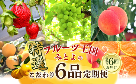 フルーツ 定期便 果物 フルーツ王国みとよの特選こだわり6品(奇数月)[配送不可地域:北海道・沖縄県・離島]_M02-0135-R 定期便 旬のセット / ふるーつ 詰め合わせ 果物 春 夏 秋 冬