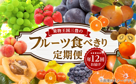 定期便 おすすめ ギフト フルーツ 果物 フルーツ食べきり定期便年12回