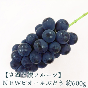 [ふるさと納税]NEWピオーネぶどう 約600g さぬき讃フルーツ 甘さとジューシーさが詰まった最高級ピオーネ! 大粒で食べごたえ抜群!ピオーネぶどう 風味豊かで甘い、完熟ピオーネ 新鮮さが自慢のさぬき讃フルーツのピオーネ 秋 旬