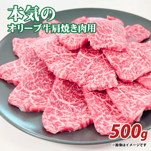 本気のオリーブ牛肩焼肉用500g_M04-2001 黒毛和牛 オリーブ牛 肩 焼肉 焼き肉 やきにく 牛肉 肉 牛 国産 冷凍