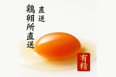 おんどり君とめんどりさんの贈り物(6個入り×8P 計48個)