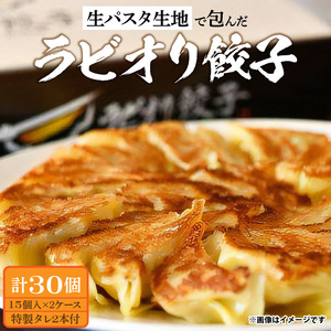 [ふるさと納税]生パスタ生地で包んだ正統派の餃子 15個入り×2ケース(計30個)_M86-0002 ギョウザ ぎょうざ 餃子 ギョウザ ぎょうざ 