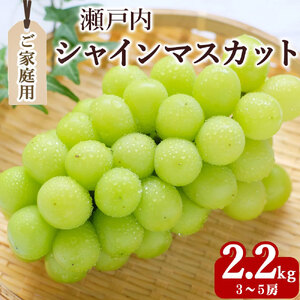 yӂ邳Ɣ[ŁzԌ VC}XJbg ƒp@3`5[(2.2kg)yzsnFkCEꌧEz