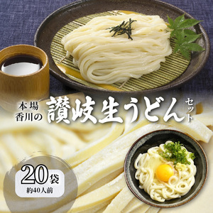 [3回定期便]うどん 香川 讃岐生うどん セット 40人前 小分け 20袋_M104-0005 うどん 饂飩 ウドン さぬきうどん さぬきウドン さぬき饂飩 讃岐うどん 讃岐ウドン 讃岐饂飩