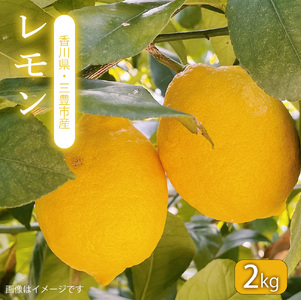レモン 2kg【配送不可地域：北海道・沖縄県・離島】_M160-0022-2 れもん 檸檬 レモン れもん 檸檬 レモン