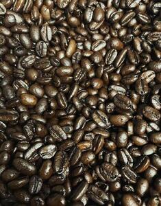 yӂ邳Ɣ[ŁzAR[q[@XyVeBER[q[^uh