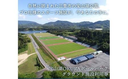 [ふるさと納税]宝山湖OKURAボールパークグラウンド施設利用券 分