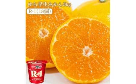 yӂ邳Ɣ[Łzys\zyzsnFkCEꌧEz瑁݂5kgƎlЂōꂽ vrI[OgR-1@18