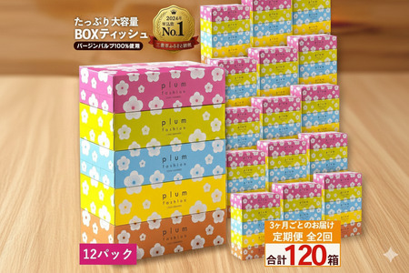 3か月ごと2回　プラムファッション Boxティッシュ 5箱×12パック