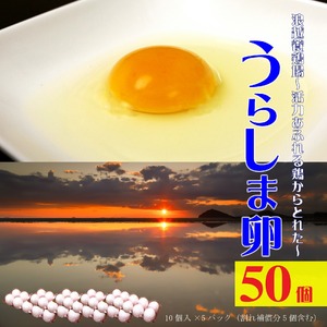 新鮮[うらしま卵]〜竜宮からの贈りもの〜たまご50個(45個+割れ補償5個)
