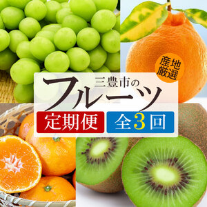 yӂ邳Ɣ[Łz t[c  3 VC}XJbg fR|E{̃t[c [ }XJbg k ʕ ʎ fU[g XC[c  30  ԗi lC }~BMtg ]yzs