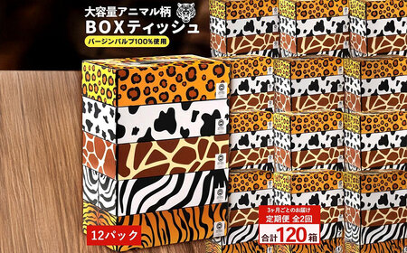 3か月ごと2回　ANIMAL Boxティッシュ 5箱×12パック