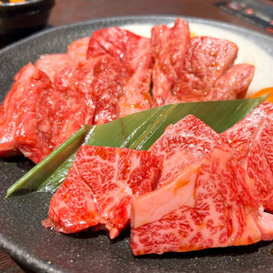 [ふるさと納税] ハラミ 牛肉専門店の 旨辛ハラミ 500g[ 牛 牛肉 焼肉 焼き肉 焼肉セット 用 専門店 味付け ピリ辛 コチュジャン BBQ アウトドア タレ漬け肉 韓国風 贈答 返礼品 三豊市 送料無料 サンエーフード ]