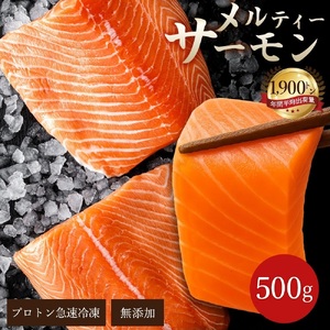[ふるさと納税] サーモン メルティーサーモン 500g毎月お届け(全3回) 遂に登場! 無添加 アトランティックサーモン [ 小分け 鮭 定期便 さけ サケ 海鮮 生サーモン 生食 人気 ランキング 三豊市 香川県 アトランティック タイセイヨウサケ フィレ 返礼品 瀬戸水産 ]