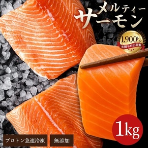 yӂ邳Ɣ[Łz T[ eB[T[ 1kg ͂(S3) ɓoI Y AgeBbNT[ [     TP CN T[ HT[ lC 