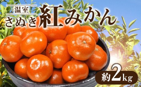 温室さぬき紅みかん約2kg