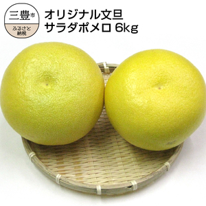 [ふるさと納税]オリジナル文旦「サラダポメロ」約6kg(5〜10玉)