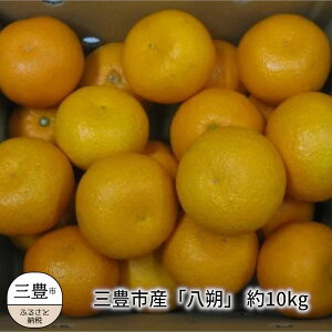 [先行予約]三豊市産「八朔」 約10kg フルーツ ふるーつ 果物 くだもの 三豊市[配送不可地域:北海道・沖縄県・離島]