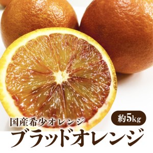 [ふるさと納税]国産希少オレンジ 「ブラッドオレンジ」 約5kg