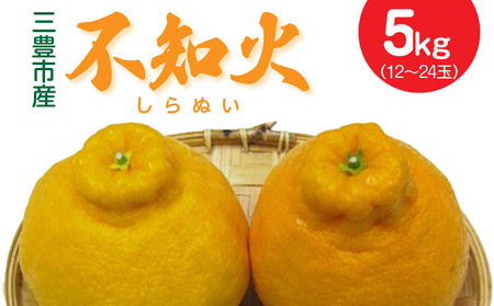 三豊市産 不知火5kg(12〜24玉) フルーツ ふるーつ 果物 くだもの 三豊市[配送不可地域:北海道・沖縄県・離島]