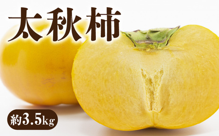 yӂ邳Ɣ[Łzys\zyzsnFkCEꌧEzVHÊ` uH`iイjv 3.5kg  Y ` JL  kaki  VN { I[KjbN N ۑ