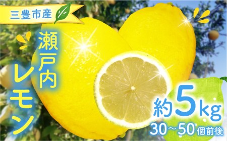 三豊市産瀬戸内レモン約5kg(30〜50個前後)