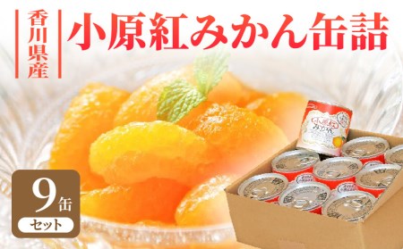 香川県産小原紅みかん缶詰 9缶セット