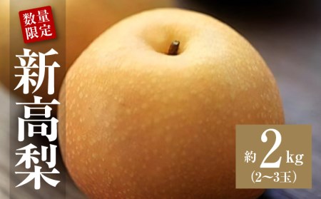 数量限定!平和農園 新高梨 約2kg