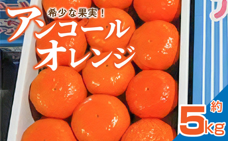 [先行予約]希少な果実!「アンコールオレンジ」 約5kg フルーツ ふるーつ 果物 くだもの 三豊市[配送不可地域:北海道・沖縄県・離島]