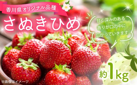 [先行予約]三豊市産 さぬきひめいちご 約1kg フルーツ ふるーつ 果物 くだもの 三豊市[配送不可地域:北海道・沖縄県・離島]