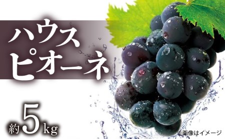 ハウスピオーネ 約5kg