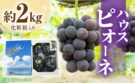 ハウスピオーネ 約2kg化粧箱入り