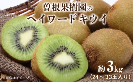 [ふるさと納税][配送不可地域:北海道・沖縄県・離島]曽根果樹園のヘイワードキウイ約3kg(24〜33玉入り) 秋 旬