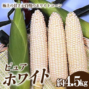 [ふるさと納税]ホワイトコーン「ピュアホワイト」約4.5kg