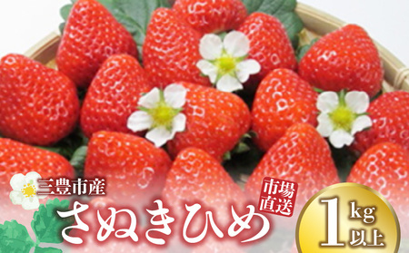 [2025年出荷 先行予約]三豊市産[市場直送 さぬきひめ 1.0kg以上][配送不可地域:北海道・沖縄県・離島]フルーツ ふるーつ 果物 くだもの 三豊市